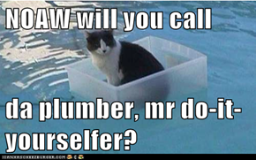 NOAW will you call  da plumber, mr do-it-yourselfer?