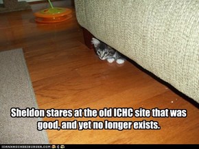 Sheldon stares at the old ICHC site that was good, and yet no longer exists.