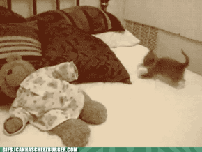 Hyper Kitty