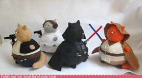 Star Wars Pincushion Cats