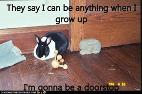 They say I can be anything when I grow up  I'm gonna be a doorstop