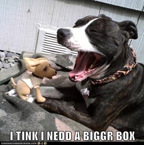 I TINK I NEDD A BIGGR BOX