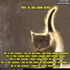 This  is  my  new  kitty