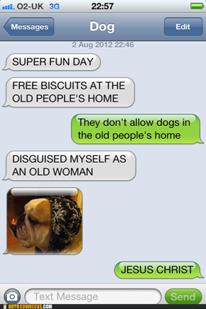 Texts from Dog: No One Will Know the Difference