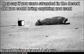 They say if you were stranded in the desert and you could bring anything you want   I would bring a tv and 4 shows