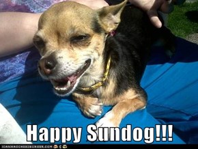 Happy Sundog!!!