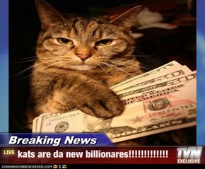 Breaking News - kats are da new billionares!!!!!!!!!!!!!