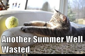Another Summer Well Wasted.