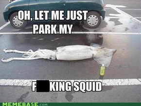 Dafuq Did I Just Park?