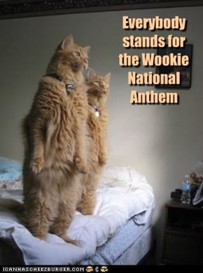 Everybody stands for the Wookie National Anthem