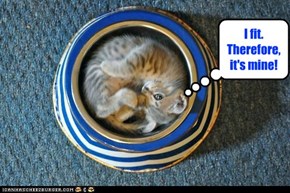Kitty Logic