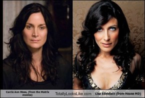 Carrie Ann Moss, (from the Matrix movies) Totally Looks Like Lisa Edelstein (from House MD)