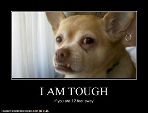 I AM TOUGH