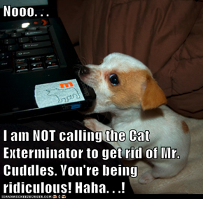 Nooo. . .  I am NOT calling the Cat Exterminator to get rid of Mr. Cuddles. You're being ridiculous! Haha. . .!