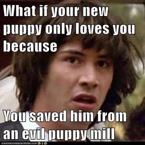 What if your new puppy only loves you because  You saved him from an evil puppy mill