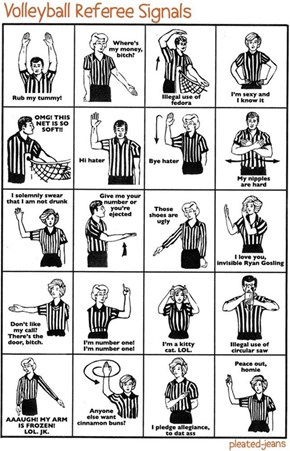 Volley Ball Referee Signals