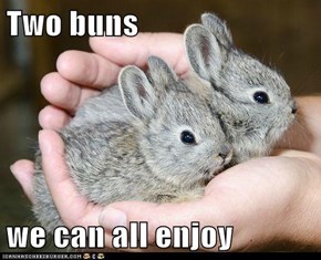 Two buns  we can all enjoy