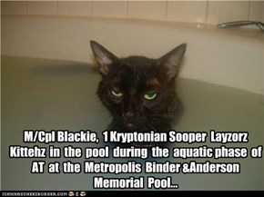M/Cpl Blackie,  1 Kryptonian Sooper  Layzorz  Kittehz  in  the  pool  during  the  aquatic phase  of  AT  at  the  Metropolis  Binder &Anderson Memorial  Pool...