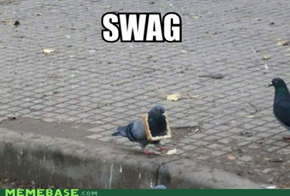 Swageon