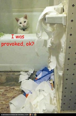 I was  provoked, ok?