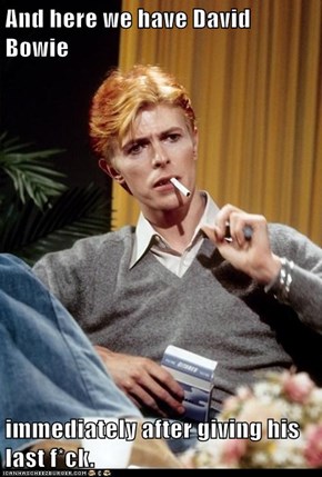 And here we have David Bowie  immediately after giving his last f*ck.
