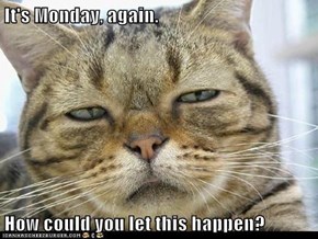 It's Monday, again.  How could you let this happen?