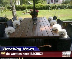 Breaking News - da westies need BACUNZ!