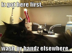 Iz got here first,  wash ur handz elsewhere.