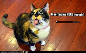 Obvious cat is obvious