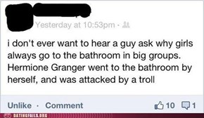 The Bathroom is a Perilous Place