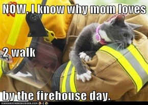 NOW, I know why mom loves 2 walk by the firehouse day.