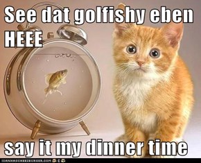 See dat golfishy eben HEEE  say it my dinner time