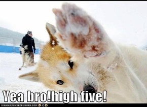 Yea bro!high five!