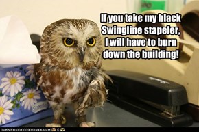 Milton the Office Owl