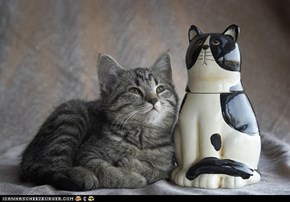 Cyoot Kitteh of teh Day: I Don't See the Resemblance