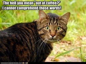 The hell you mean "out of coffee?" I cannot comprehend those words!