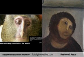 Recently discovered monkey Totally Looks Like Restored Jesus