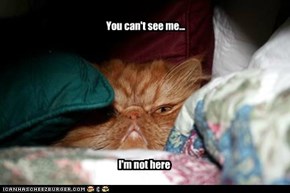 You can't see me...