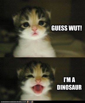 Ima Dino
