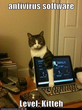 antivirus software  Level: Kitteh