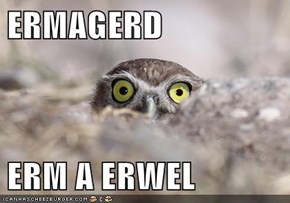 ERMAGERD  ERM A ERWEL