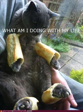 Breadcat?