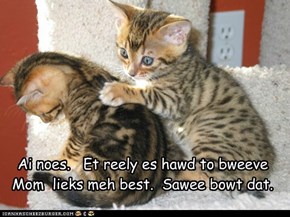Ai noes.   Et reely es hawd to bweeve  Mom  lieks meh best.  Sawee bowt dat.