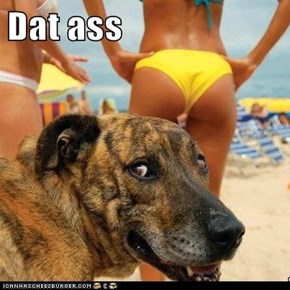 Dat ass