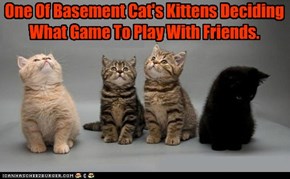 One Of Basement Cat's Kittens Deciding What Game To Play With Friends.