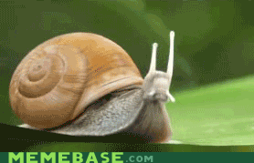 Snail Transformer 