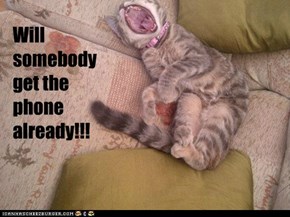 Will somebody  get the phone already!!!