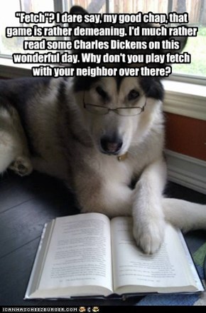 Doggie is smarter than you think