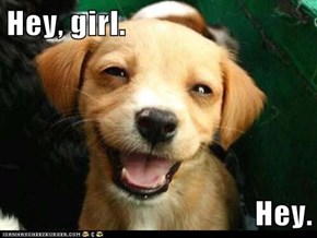 Hey, girl.  Hey.