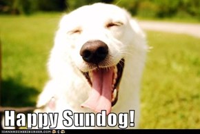 Happy Sundog!